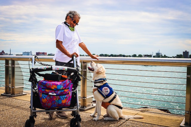 Service Dog and the ADA
