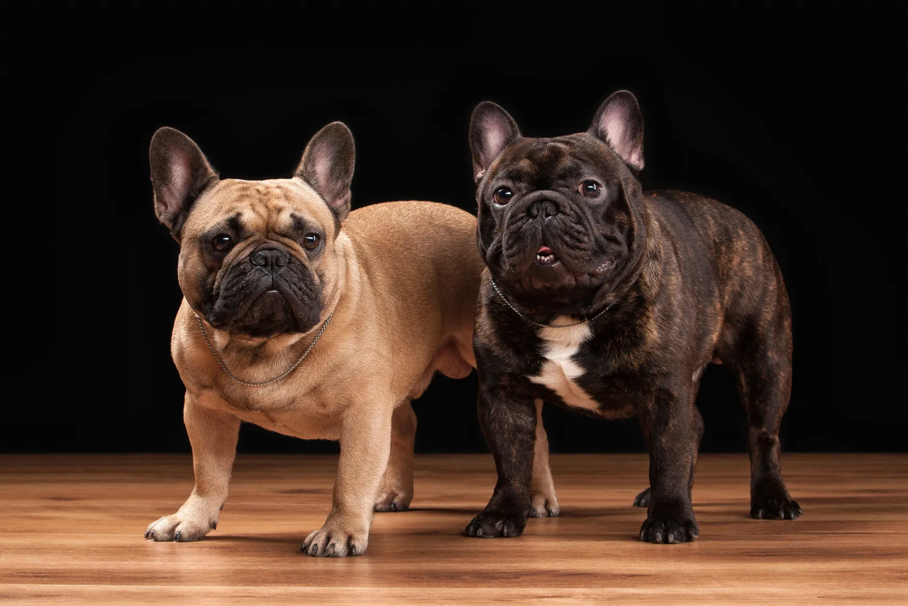 20260420-120018standing-up-for-access